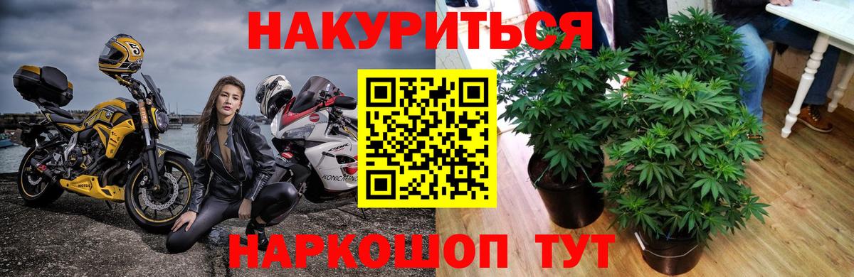 Гулькевичи  Марихуана гибрид  Марихуана ГИДРОПОН  Вход с VPN  Марихуана THC 21% 